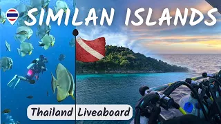 Liveaboard Vlog: 3 Days and 3 Nights in the Similan Islands
