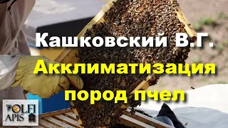 #Кашковский В.Г. Акклиматизация пород пчел