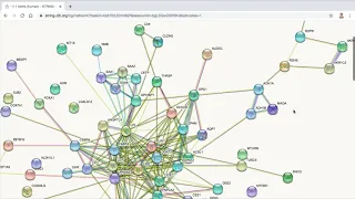 Protein-protein Interaction Network Analysis using STRING