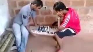 Funny Little Accident While Playing Chess   Funny Failvideomasti com