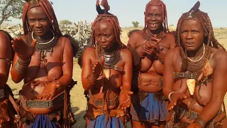 Dances of women of the tribe Himba in Namibia.