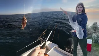 FOOD CHAIN FISHING CHALLENGE - tiny SQUID into HUGE GUMMY SHARK.