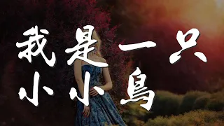 我是一隻小小鳥 - 鳳凰傳奇『這樣的要求算不算太高』【動態歌詞Lyrics】