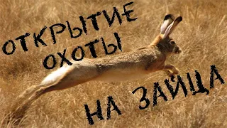 Открытие охоты на зайца!2021-2022! Почти взяли норму!