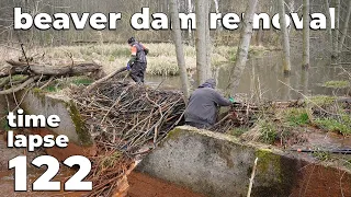 Manual Beaver Dam Removal On An Old Concrete Penstock No.122 - Time-Lapse Version
