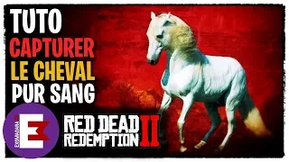 TUTO COMMENT CAPTURER FACILEMENT LE CHEVAL PUR SANG ARABE BLANC   RED DEAD REDEMPTION 2