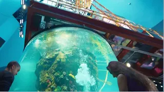 KPRC 2+ | Visiting Moody Gardens in Galveston