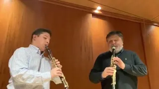 Mozart Kv 622 duet