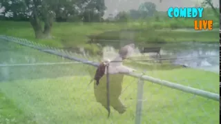 Черепаха лезет через забор)