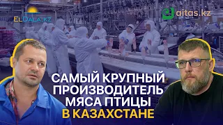 Вертикальная интеграция в птицеводстве: как Aitas стал лидером рынка?