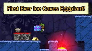 Spelunky 2 Ice Caves Shortcut Eggplant% (World First, 8:54.216)