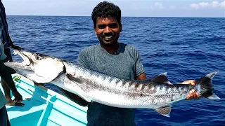 Catching King Fish, Barracuda Fish & Wahoo Fish in the Deep Sea