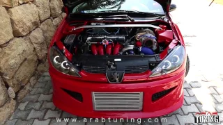 Peugeot 206 RC Turbo by 961 Motorsport