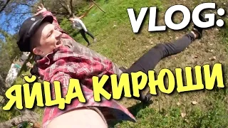 VLOG: ЯЙЦА КИРЮШИ / Андрей Мартыненко