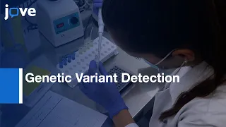 Genetic Variant Detection in gene by Melting Analysis | Protocol Preview