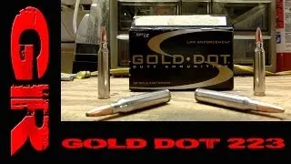 Speer Gold Dot 223 Duty Ammunition Ballistic Gelatin Test