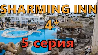 🇪🇬ЕДИМ МАРЛИНА, КРЕВЕТКИ. Sharming inn 4*. Рыбки НЕМО. Египет 2021 Шарм. 5 серия