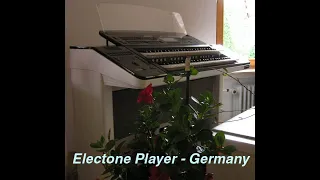 Feelin' Happy (Dan Siegel) performed on Electone by Electone Player