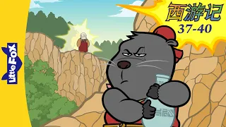 西游记 37-40 (西遊記 | Journey to the West) 孫悟空 | Classics | Chinese Stories for Kids | Little Fox