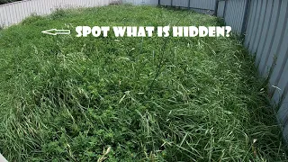 Hidden bench uncovered in CRAZY overgrown lawn