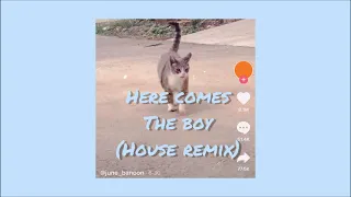 here comes the boy (tiktok) [chill house remix] - the smash brothers