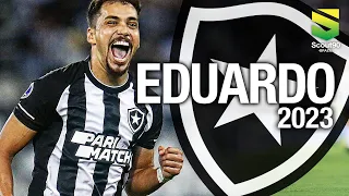 Eduardo 2023 - Dribles, Passes & Gols - Botafogo | HD