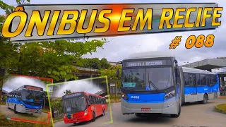 #088  Ônibus em Recife   Ti Joana Bezerra