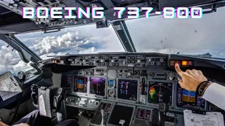 Cockpit View Beautiful BOEING 737 LANDING #boeing737 #aviation #AviationNation