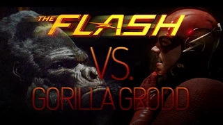 The Flash - vs. Gorilla Grodd, First Fight