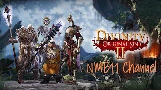 ИСТОРИЯ НАЧИНАЮЩЕГО НЕКРОМАНТА - Divinity: Original Sin 2 - Definitive Edition - #1