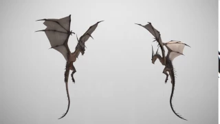 Wyvern fly animation cycle
