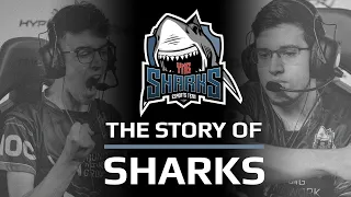 ECS S8 - Story of Sharks