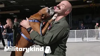 Dogs lose it over military homecomings | Militarykind