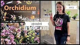 Орхидиум: весна 2023 | Выставка орхидей в Москве | Суккуленты, лиственные, грунты, горшки, препараты