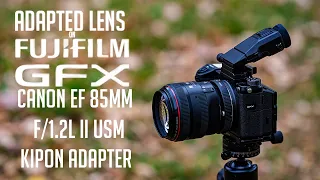 Adapted Lenses on the Fuji GFX - Canon EF 85mm f/1.2L II