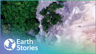 How A Gold Rush Almost Destroyed The Amazon | Earth Stories