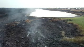 После пожара у села Павловка Кинельского района