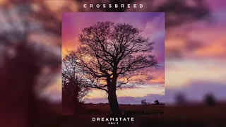 CrossBreed - These Times (feat. MTD) [Audio]