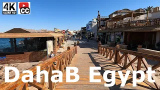 Egypt Day 1: Dahab - Diving in the Red Sea