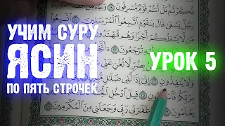 Урок 5 - Учим "ЯСИН" (по пять строчек) / 36-я сура Корана