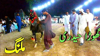 Ghora Haideri Malang | The Best First Horse Dance | Very Famous And Beautiful Dance | Ghora Naach |