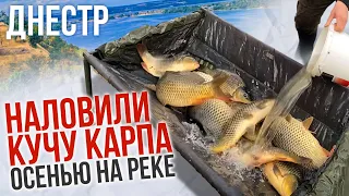 Ловля карпа на реке Днестр ПОЗДНЕЙ ОСЕНЬЮ по холодной воде.