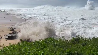 Massive Waves Eddie Would Go North Shore Oahu Sunday 1-22-2023