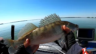 Ловля ОКУНЯ и СУДАКА на водохранилище!