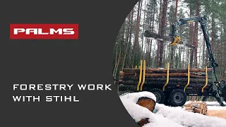 PALMS Forestry work with STIHL in Estonia (Part 2)