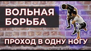 Как пройти в одну ногу. Вольная борьба / Дневник ММА