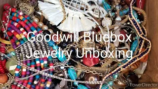 Goodwill Bluebox Jewelry Jar Unboxing from Florida!