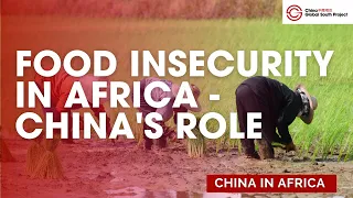 Why Food Security & Agriculture Issues Need to Be Atop the China-Africa Agenda