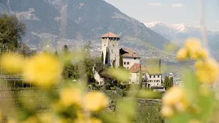 Apfelblüte - Fioritura - Apple blossom. Südtirol Alto Adige