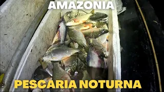 Pescaria NOTURNA com Malhadeira em igapó no AMAZONAS.#pescaria #fish #pescanoturna #amazonia